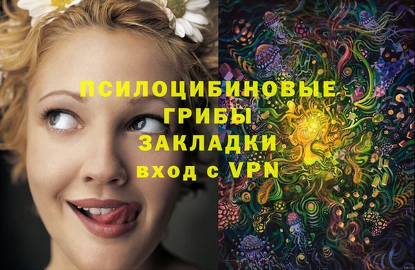 дмт Медвежьегорск
