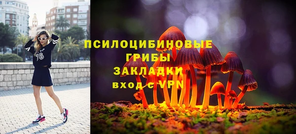 альфа пвп Медногорск