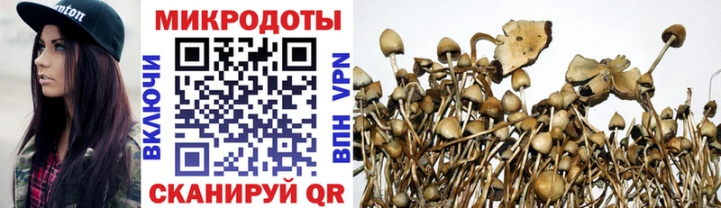 kraken онион  Алейск  Псилоцибиновые грибы Cubensis 